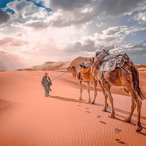 Camel Safari in jaisalmer